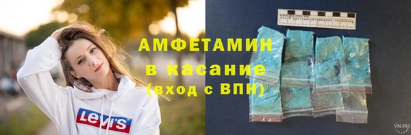 шишки Богородск